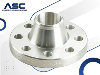 SS 446 Weld Neck (WN) Flanges